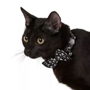 Whisker City Exclusive Crossbones Bow Tie Easy Release Adult Cat Collar NWT
